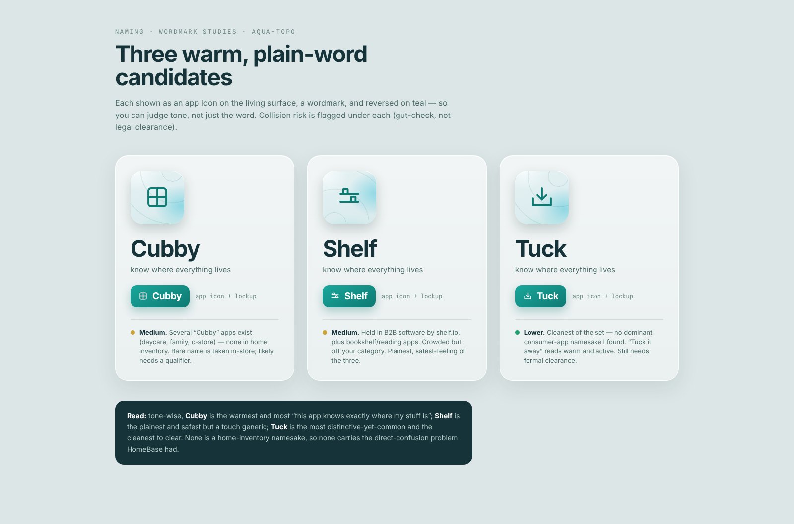 Naming study: three plain-word name candidates, Cubby, Shelf and Tuck, each with an icon and notes.